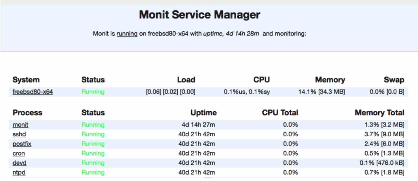 Monit interface