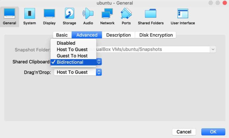 share files between vm and host share files between vm and host