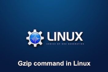 How to use the Gzip command in Linux