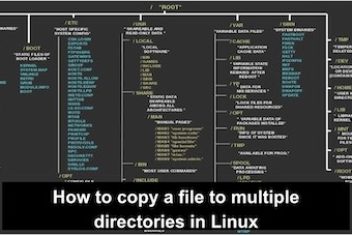 How to copy a file to multiple directories in Linux