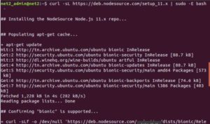 How to install Node.js on Linux/Ubuntu
