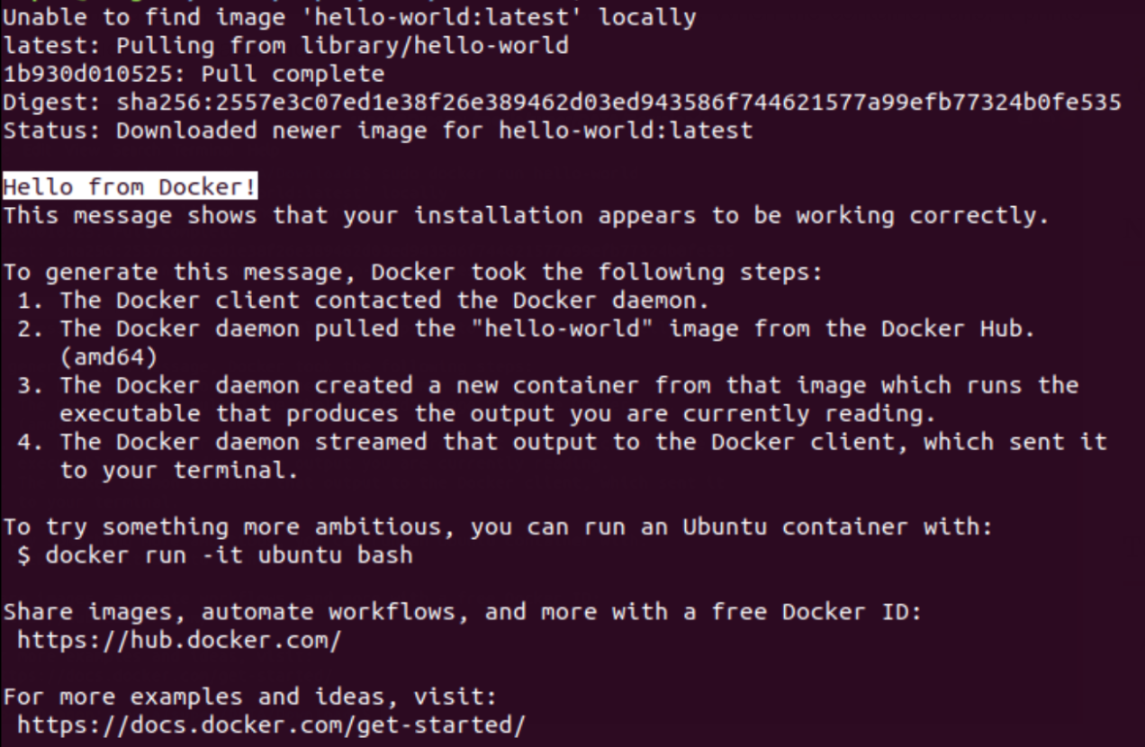 Run ubuntu docker image