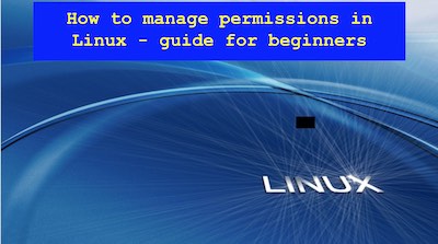 How To Manage Permissions In Linux Guide For Beginners