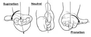 correct hand posture