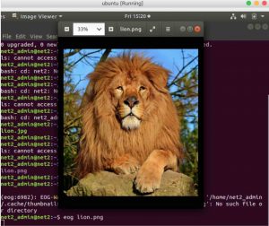 How to display Images in the command line in Linux/Ubuntu