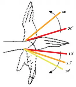 9 Hand exercises for computer users