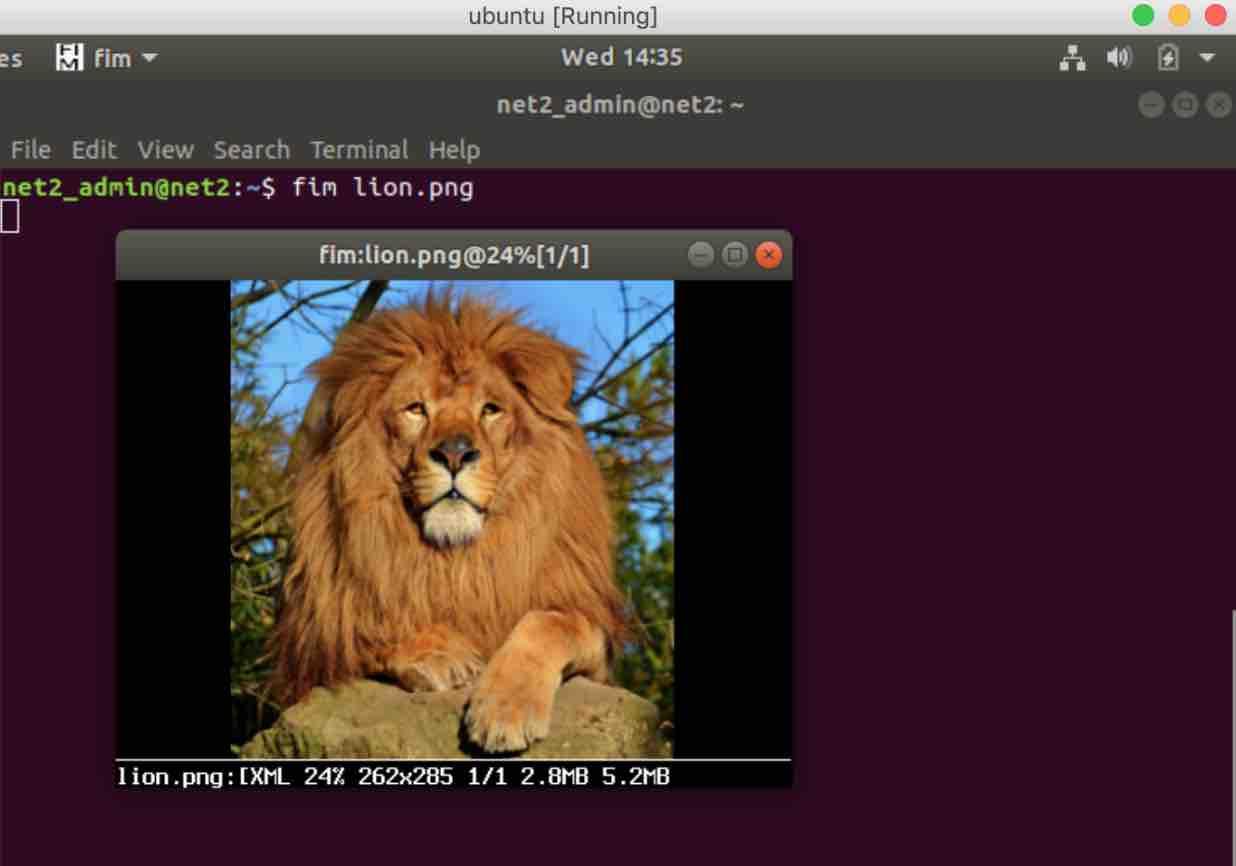 display image command line linux