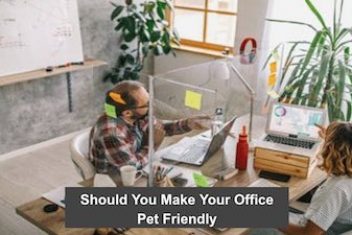 Should You Make Your Office Pet Friendly