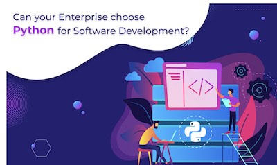 Can Your Enterprise choose Python for Software Development?