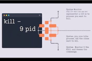 How to Kill Processes in Linux: Beginner-Friendly Guide to Command Line Termination