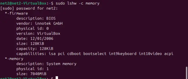 LSHW Memory Output